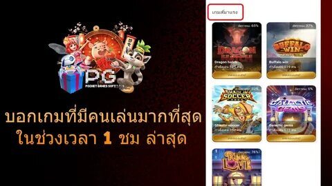 556 bet 