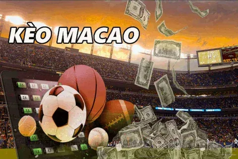 Futebol Fever 