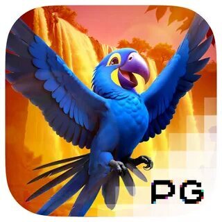 cards games online 