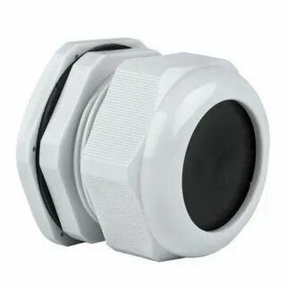 gates of olympus vs 1000 reddit 