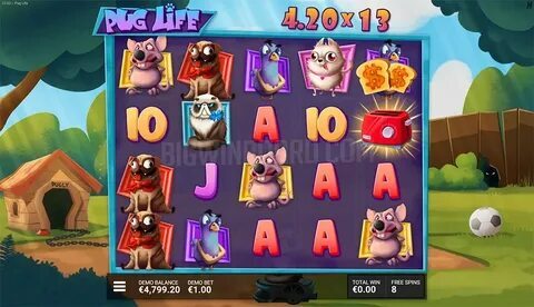 ig jogo cassino 
